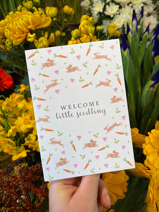 Greeting Card | Welcome Little Seedling